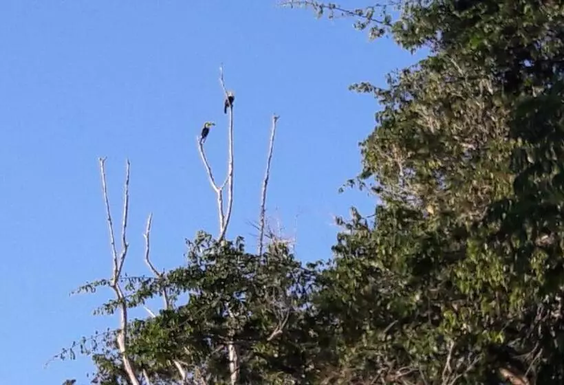 هتل Zazil Ha Hostel