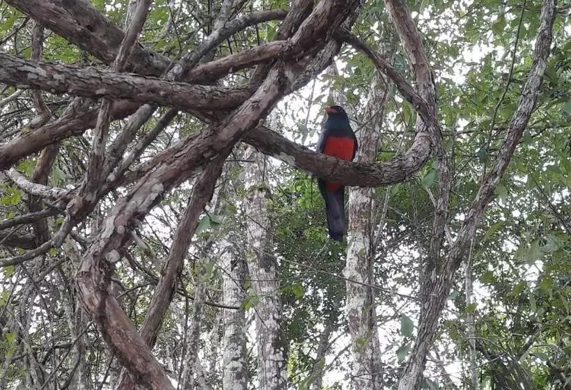 هتل Zazil Ha Hostel