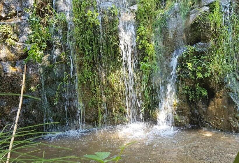 هتل Mas Del Sord 1335