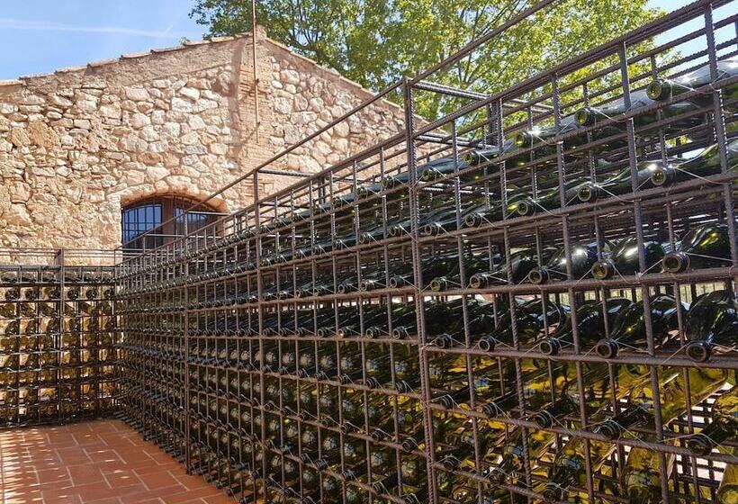 هتل Mas Del Sord 1335