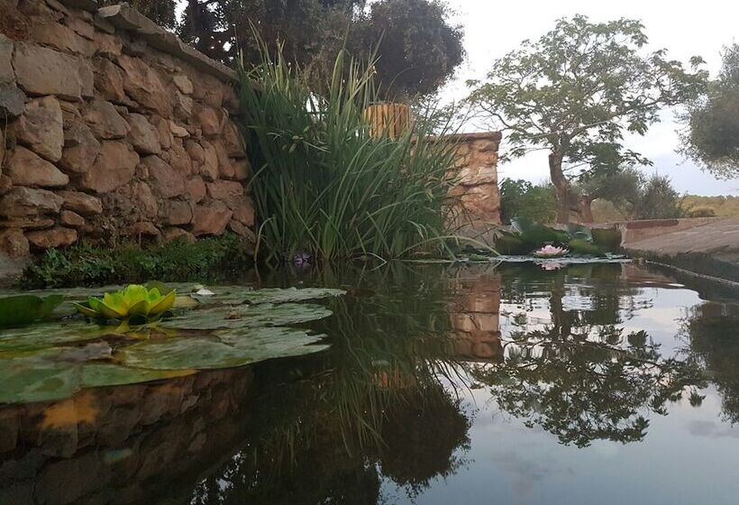 هتل Mas Del Sord 1335