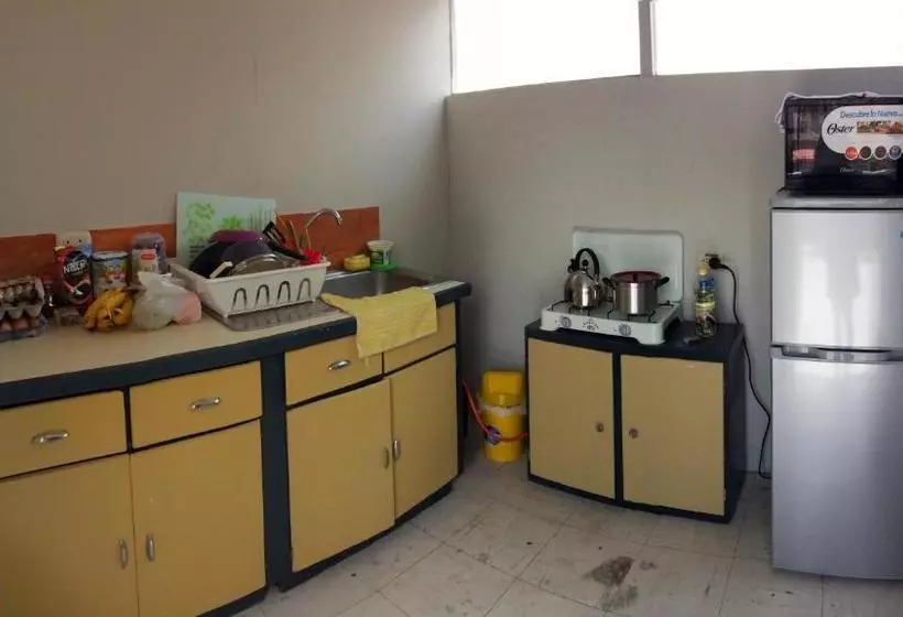Peter S Hostel