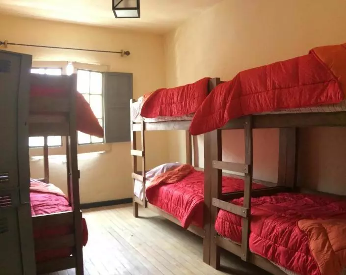 Peter S Hostel