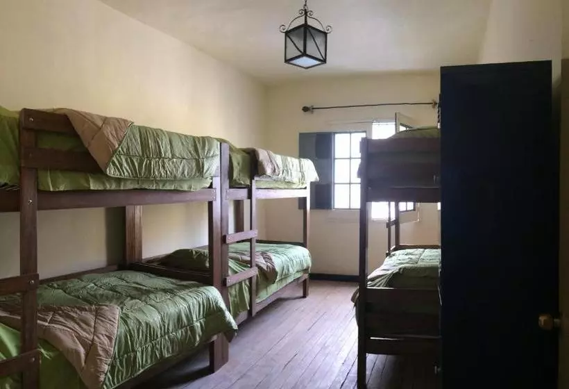 Peter S Hostel