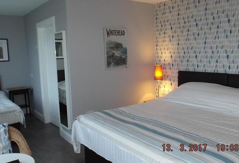 住宿加早餐  Water S Edge Glenarm Self Catering Apartments