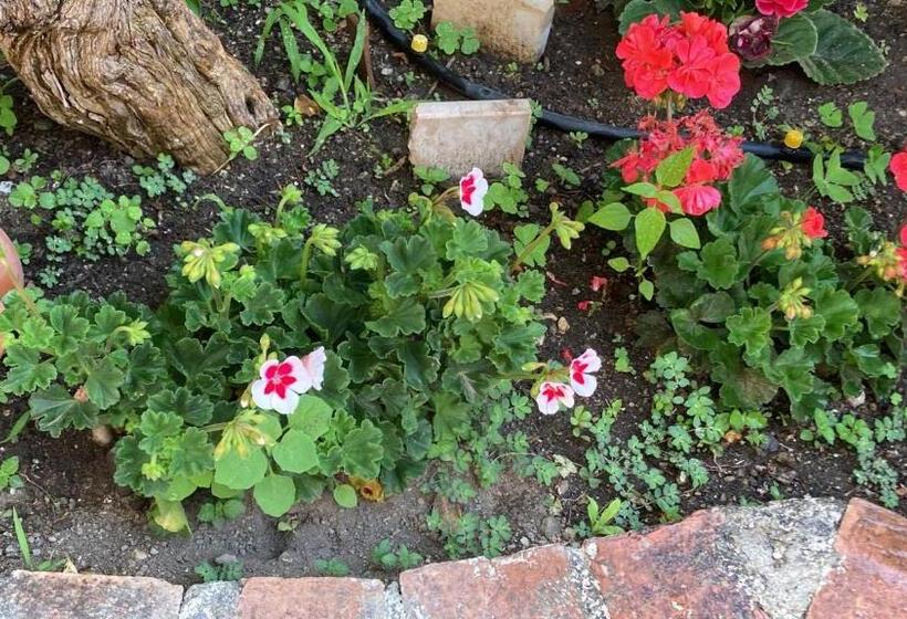 تختخواب و صبحانه L Antico Borgo