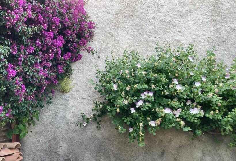 تختخواب و صبحانه L Antico Borgo