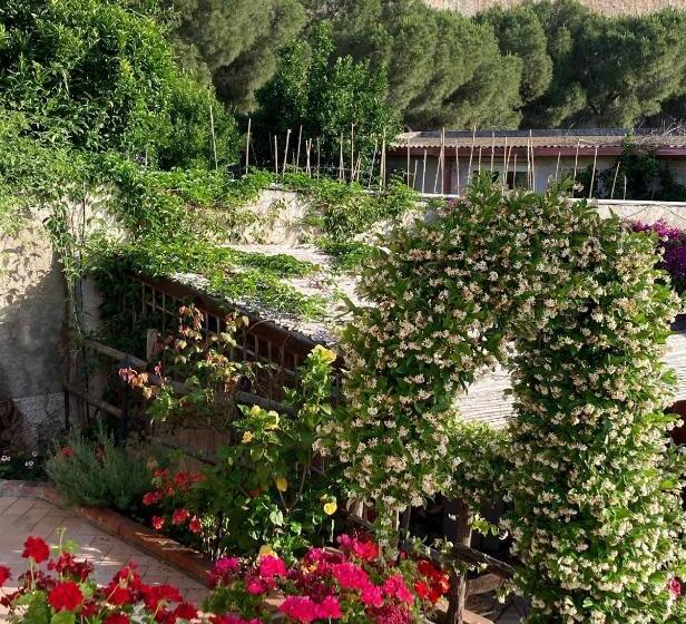 تختخواب و صبحانه L Antico Borgo