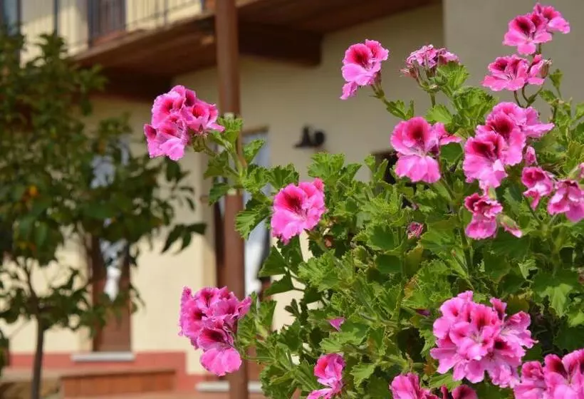 Aamiaismajoitus (B&B) L Ramassin