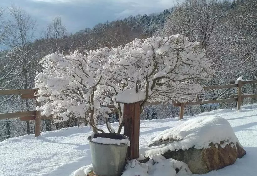 Aamiaismajoitus (B&B) L Ramassin