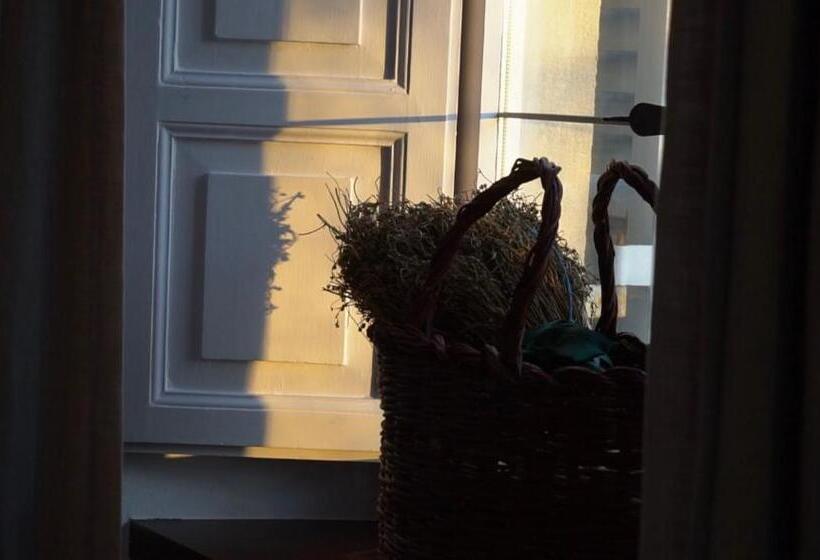 민박 Oberdan Ospitalita