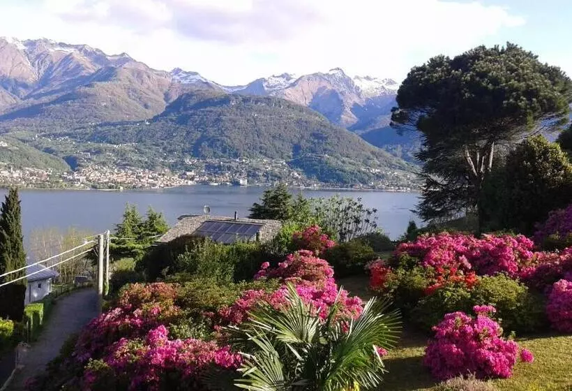 ホテル Albergo Ristorante Conca Azzurra