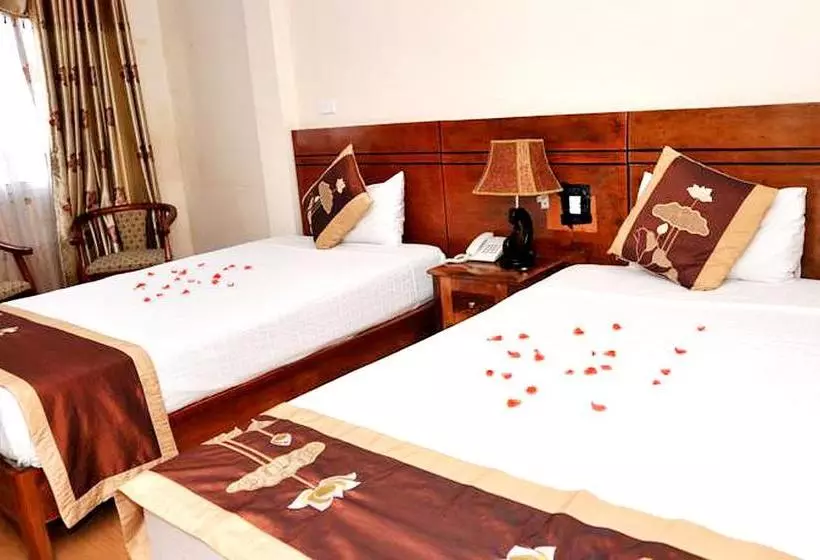 Sunflower Hotel & Travel
