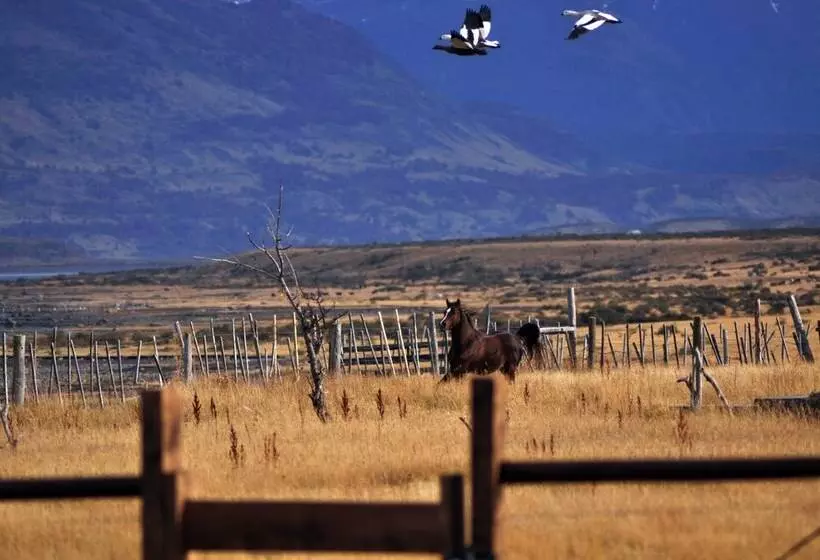ホテル Puerto Bories House, Country Houses In Patagonia
