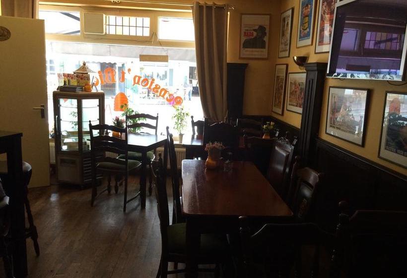 בית מלון כפרי T Biekaer