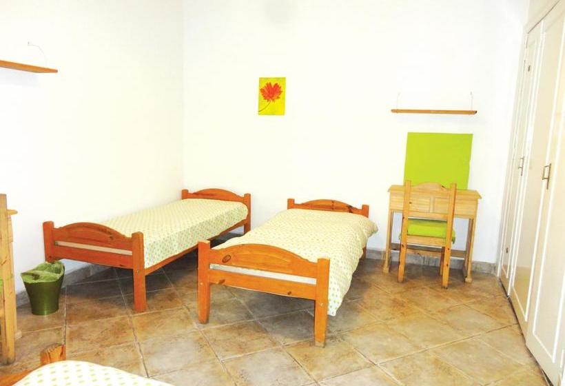 هاستل La Casa Del Girasol Residencia Universitaria
