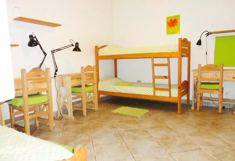 هاستل La Casa Del Girasol Residencia Universitaria