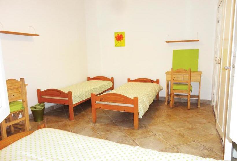 هاستل La Casa Del Girasol Residencia Universitaria