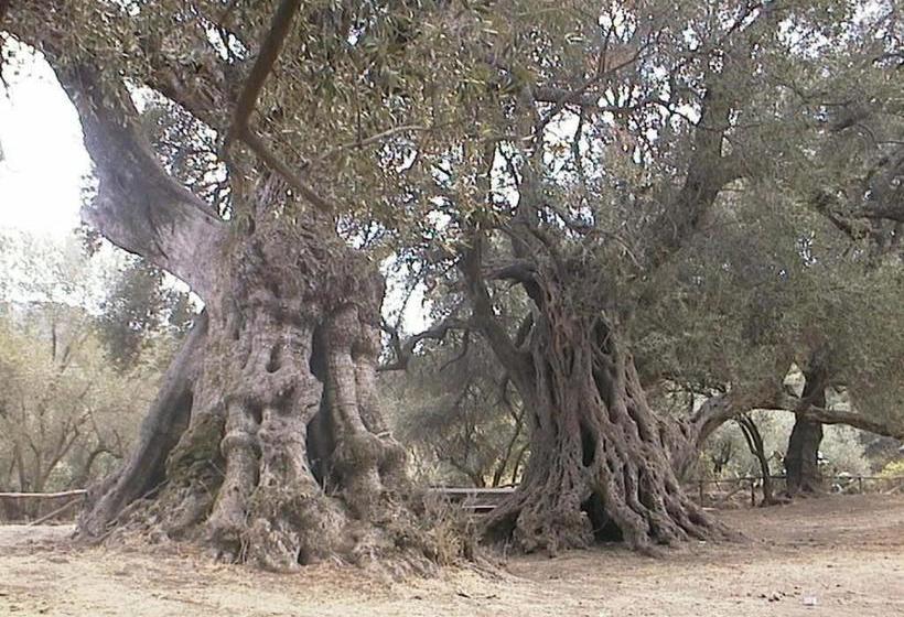 B&b Antoclo Di Concas Angela Margherita