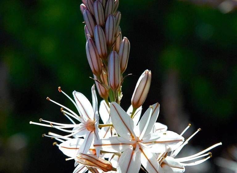 B&b Antoclo Di Concas Angela Margherita