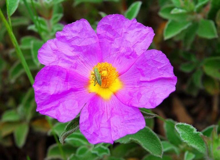 B&b Antoclo Di Concas Angela Margherita