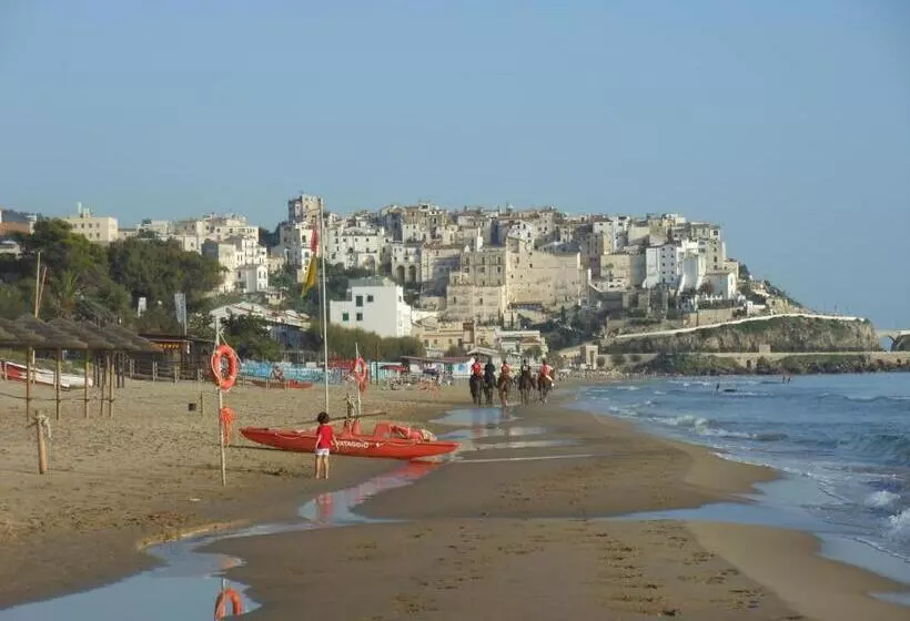 ベッドアンドブレックファースト La Maison Galu