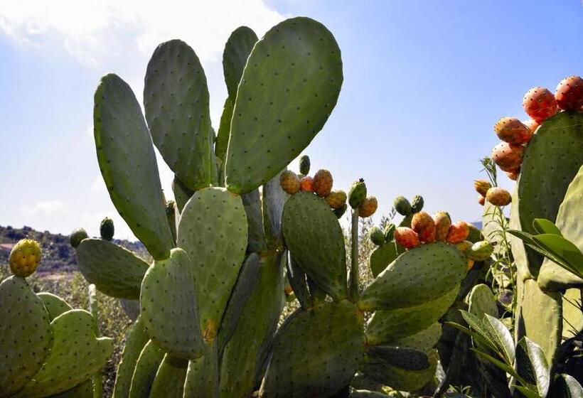 민박 La Maison Galu