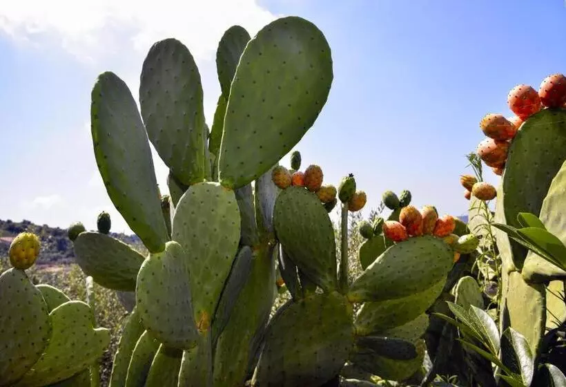 ベッドアンドブレックファースト La Maison Galu