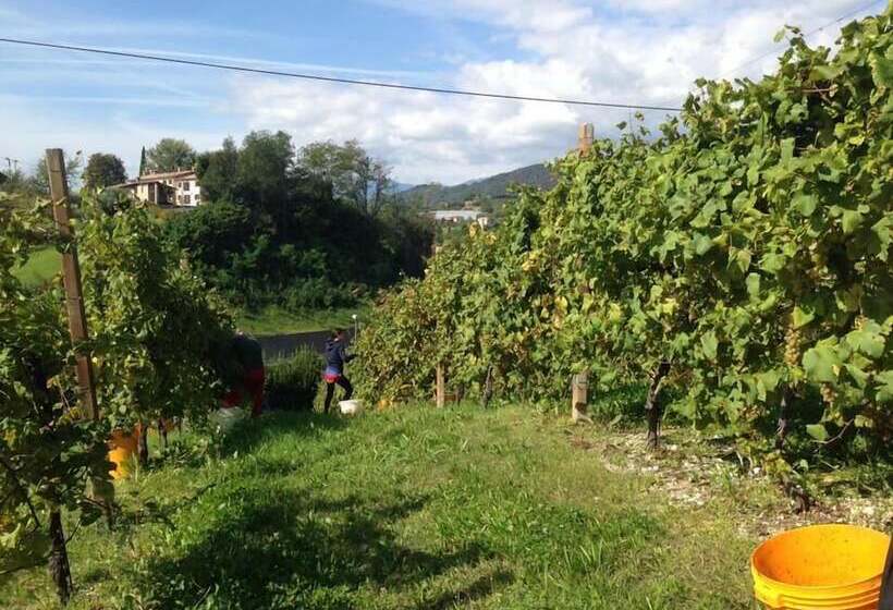 مبيت وإفطار Agriturismo La Vigna Di Sarah