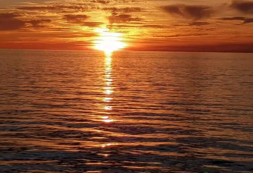 تختخواب و صبحانه Max Piran