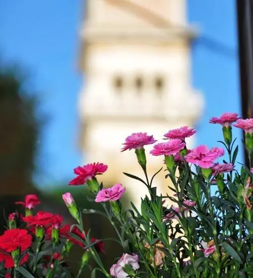 تختخواب و صبحانه Max Piran