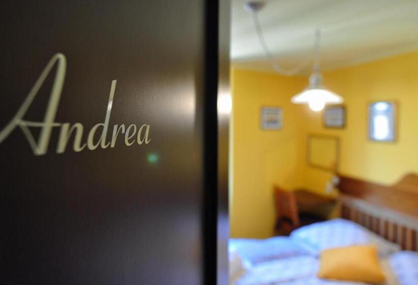 تختخواب و صبحانه Max Piran