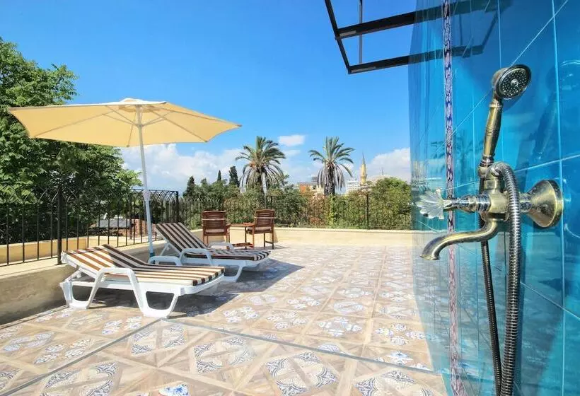 Delight Deluxe Aparts