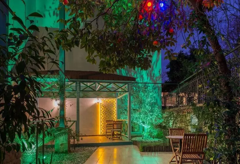 Delight Deluxe Aparts