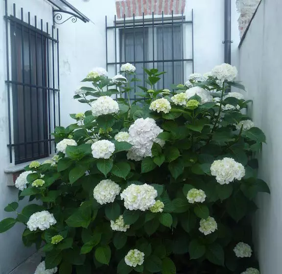 L'adele Bed & Breakfast