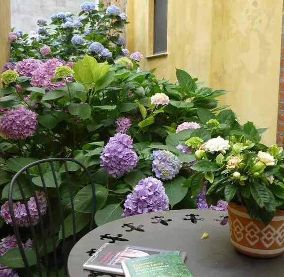 L'adele Bed & Breakfast