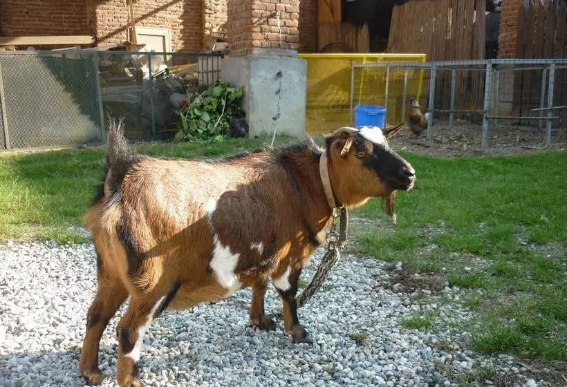 L'adele Bed & Breakfast