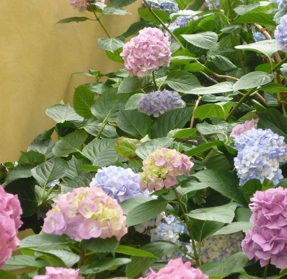 L'adele Bed & Breakfast