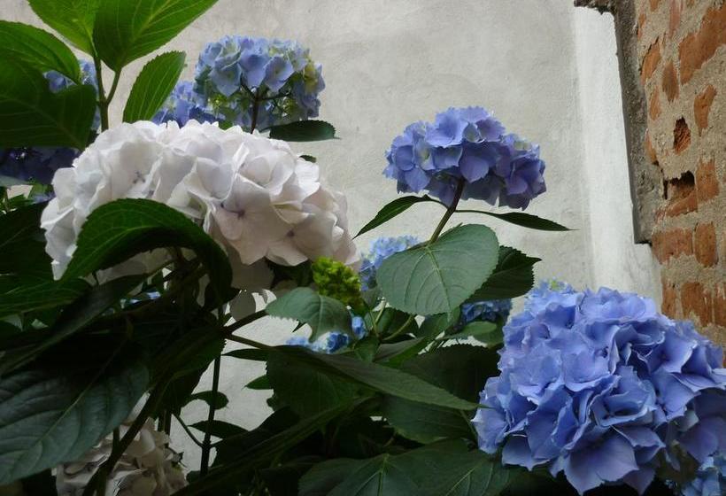 L'adele Bed & Breakfast