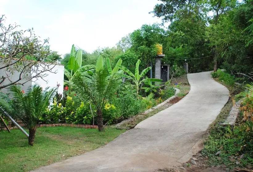 Majatalo Tiara Homestay Pemuteran Bali