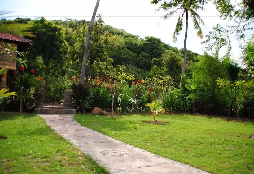 Majatalo Tiara Homestay Pemuteran Bali