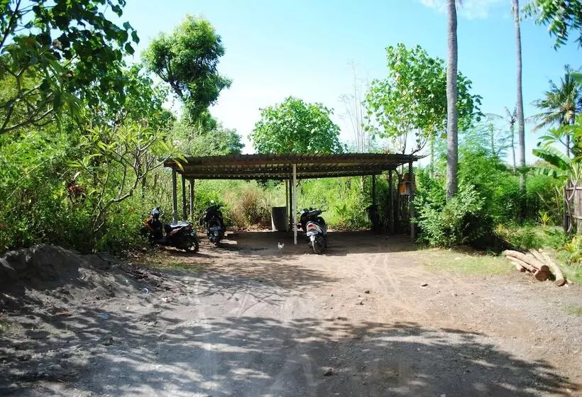 Majatalo Tiara Homestay Pemuteran Bali