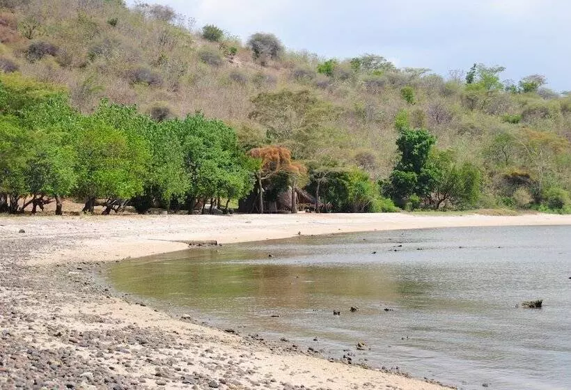 Majatalo Tiara Homestay Pemuteran Bali