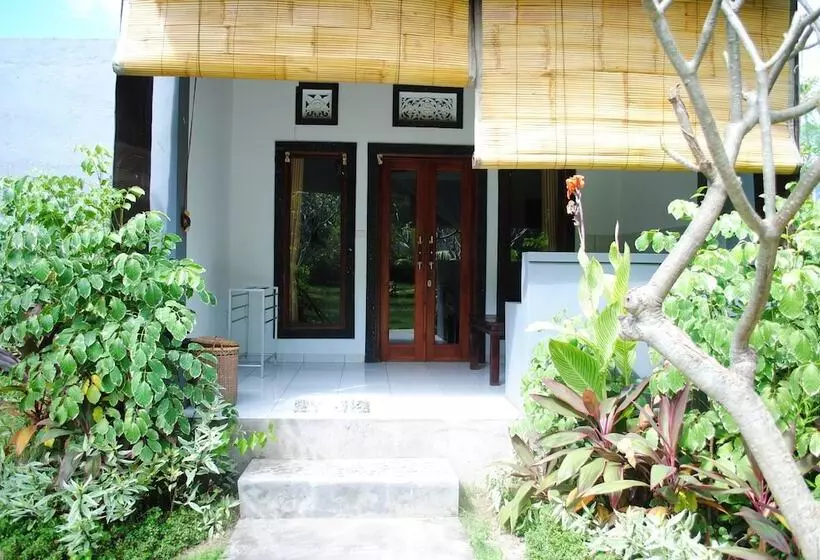Majatalo Tiara Homestay Pemuteran Bali