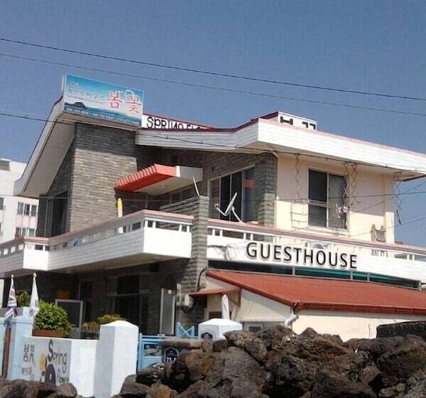 Springflower Guesthouse   Hostel