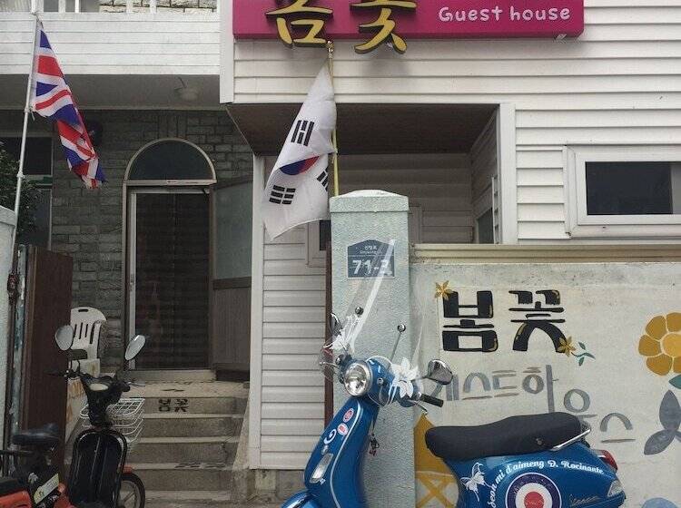 Springflower Guesthouse   Hostel