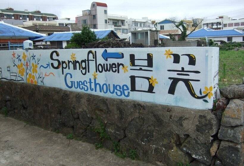 Springflower Guesthouse   Hostel