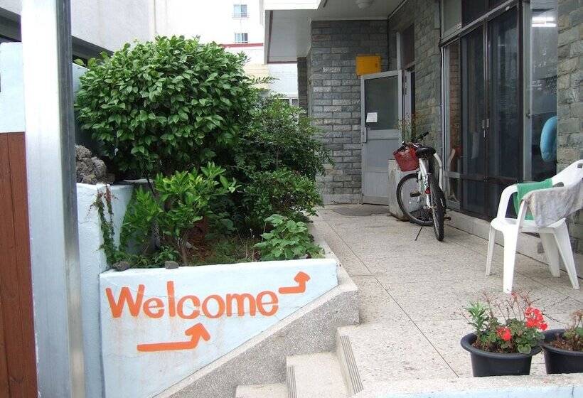 Springflower Guesthouse   Hostel