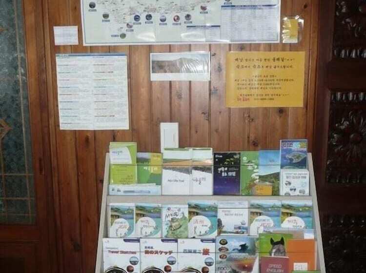 Springflower Guesthouse   Hostel