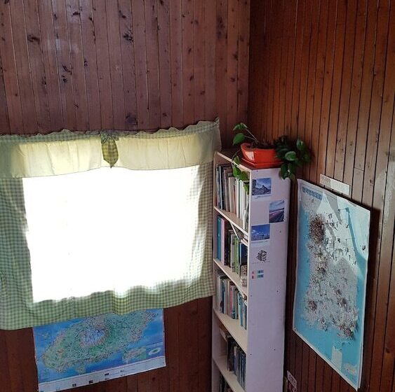 Springflower Guesthouse   Hostel